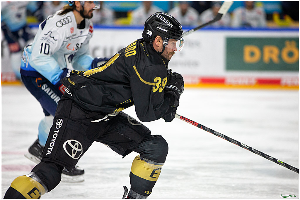 PENNY DEL;  Kölner Haie - ERC Ingolstadt; Köln, 25.11.2022